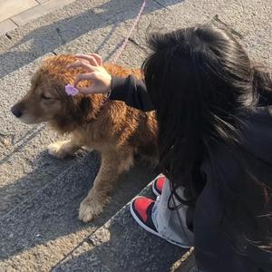 关于美女色色的非法网站
